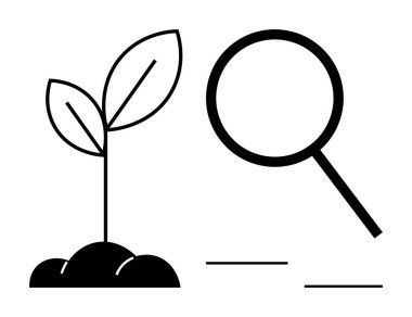 Analizi, büyümeyi, sürdürülebilirliği, çevre bakımını sembolize eden bir büyüteçin yanındaki topraktan çıkan genç bitki. Bilim, ekoloji, keşif, yenilik, araştırma eğitimi için ideal