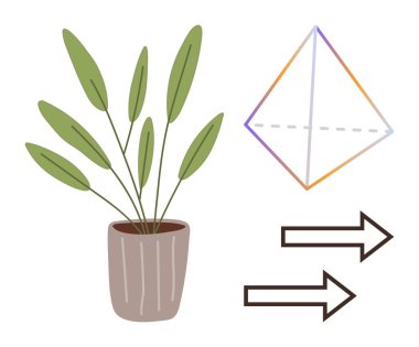 Yeşil yapraklı saksı bitkisi, renkli geometrik prizma ve iki yönlü ok. Büyüme, gelişme, sürdürülebilirlik, denge, yön, karar verme yaratıcılığı için ideal basit düz