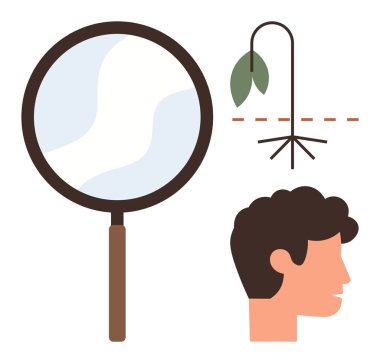 İnsan kafası yakınlarındaki solgunluk tesisini inceleyen büyüteç, doğaya yönelik merakı ve çevresel sorunlarla ilgili endişeleri vurguluyor. Araştırma, ekoloji, farkındalık, eğitim, büyüme için ideal