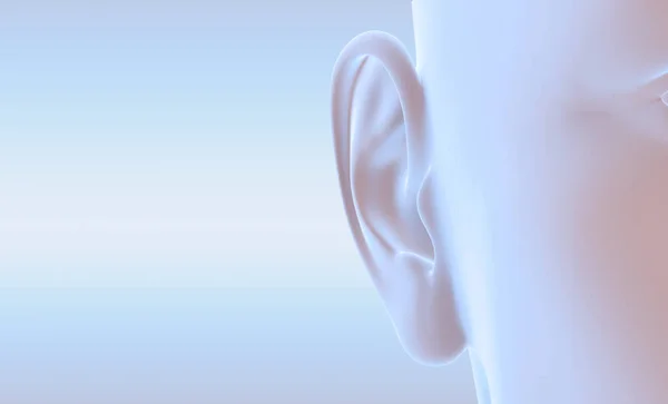 Human ear anatomy with soundwave, medically 3D illustration