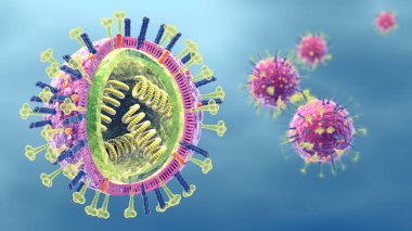 Flu. Influenza viruses with RNA, surface proteins hemagglutinin  clipart