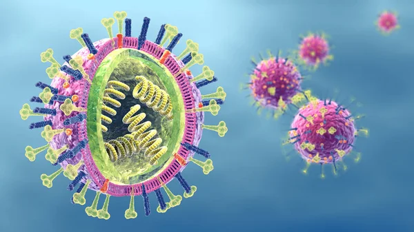 Flu. Influenza viruses with RNA, surface proteins hemagglutinin — Stock Photo, Image