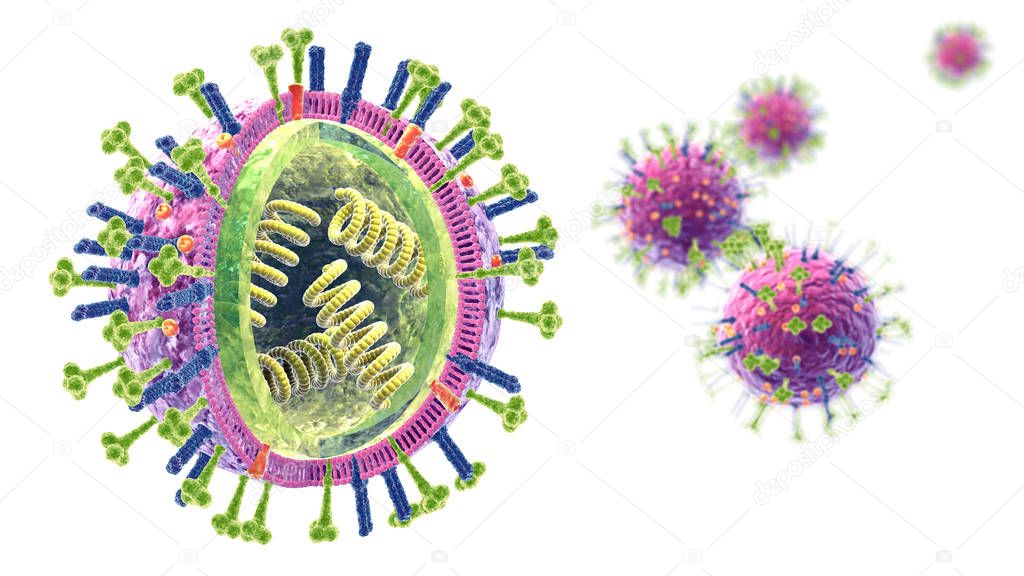 Flu. Influenza viruses with RNA, surface proteins hemagglutinin 