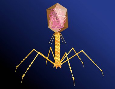 Dna ile bakteriyofaj. Bilimsel olarak doğru 3d illüstrasyon