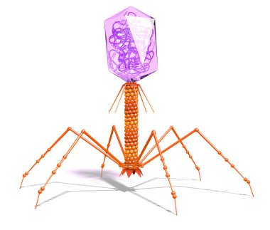 Dna ile bakteriyofaj. Bilimsel olarak doğru 3d illüstrasyon