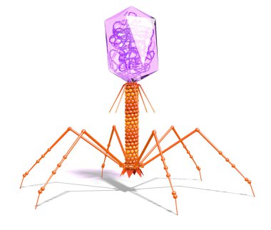 Bacteriophage with DNA. Scientifically accurate 3D illustration clipart