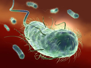 Escherichia coli bakterisi (E. coli). Tıbbi olarak doğru 3d illus
