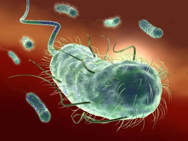 Escherichia coli bakterisi (E. coli). Tıbbi olarak doğru 3d illus