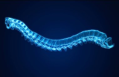Omurga intervertebral diskler ile, mavi x-Ray sanat, tıbbi 3d il