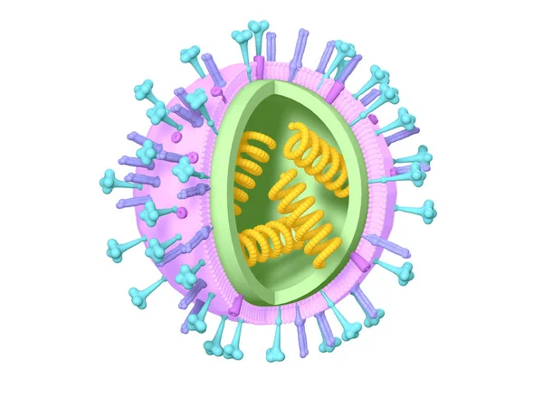 Influensa. Influensavirus med RNA, ytproteiner hemagglutinin en — Stockfoto