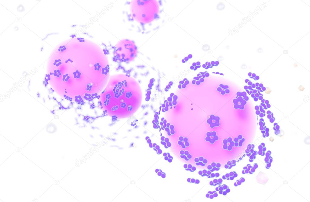 Human papillomavirus (HPV) infection, conceptual image, medical 