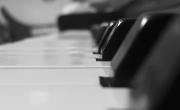 Close-up black and white piano keys in soft focus in centre with soft background