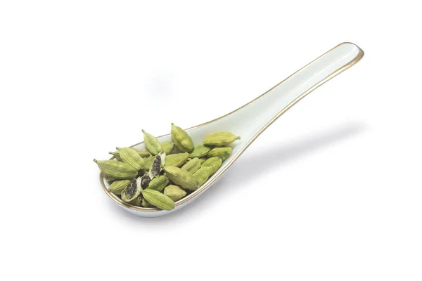 Beyaz arka planda izole Cardamon baharat yakın görünümü 