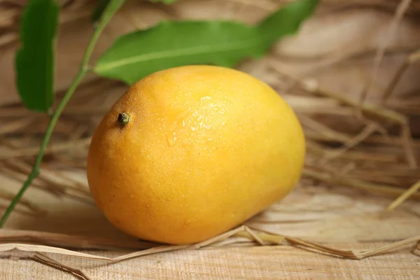 Masada yeşil yaprakları ile sarı Mango