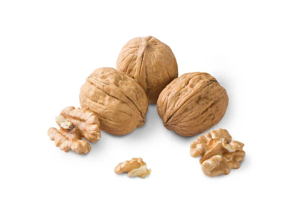 beyaz arka planda izole ceviz, sağlıklı beslenme