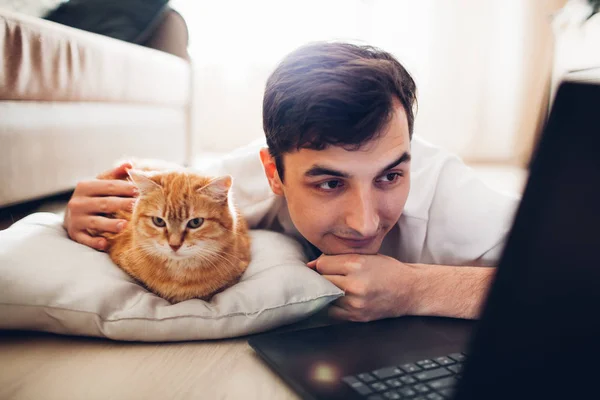 kedi bir dizüstü bilgisayar ile efendisinin yanında evde bir yastık üzerinde yatıyor