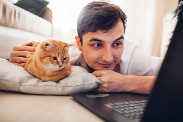 kedi bir dizüstü bilgisayar ile efendisinin yanında evde bir yastık üzerinde yatıyor