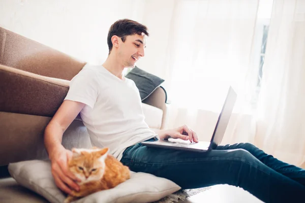 kedi bir dizüstü bilgisayar ile efendisinin yanında evde bir yastık üzerinde yatıyor