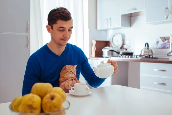 Yakışıklı genç adamın portresi mutfağa kedi ile çay döker