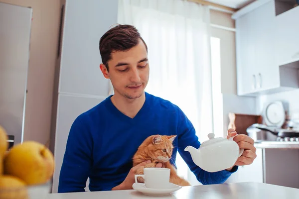 Yakışıklı genç adamın portresi mutfağa kedi ile çay döker