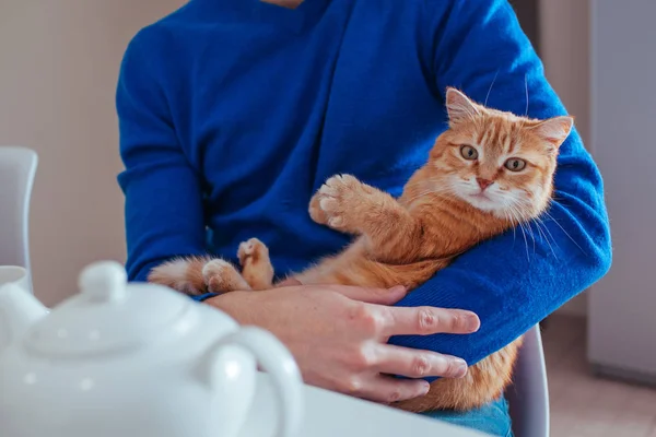 Yakışıklı genç adamın portresi mutfakta kollarında kırmızı bir kedi tutar.