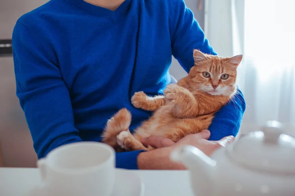 Portrait de beau jeune homme tient un chat rouge dans ses bras sur la cuisine . — Photo