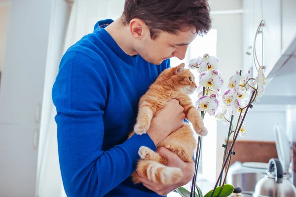 Genç adam evde orkidenin yanında bir kedi tutuyor.