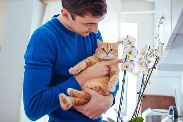 Genç adam evde orkidenin yanında bir kedi tutuyor.
