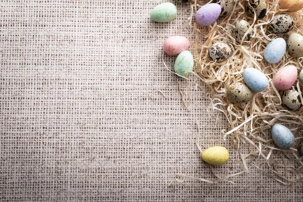 Пасхальные, разноцветные перепелиные яйца на льняном фоне . — стоковое фото