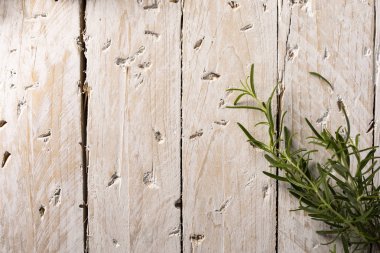 Taze biberiye, ahşap beyaz arka planda aromatik baharat