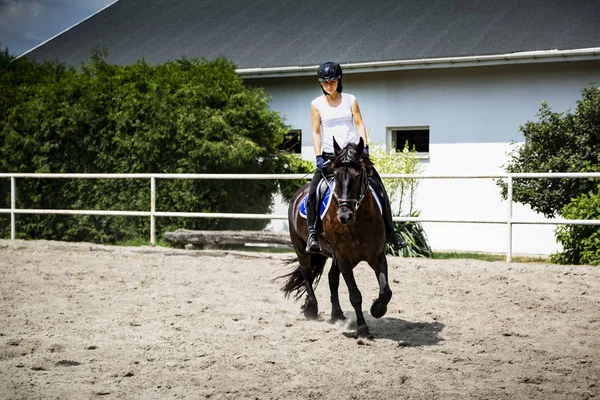 Binici -lik. Kadın binici ata biner..