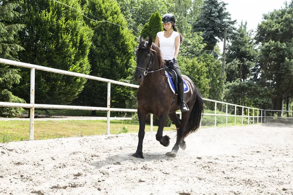 乗馬。女性ライダーは馬に乗る. — ストック写真