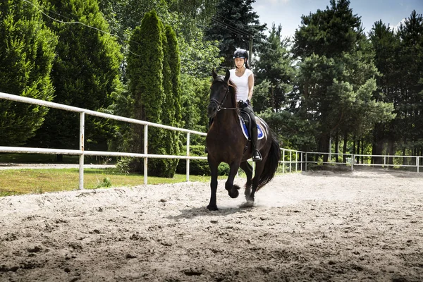 Binicilik. Kadın binici ata biner..