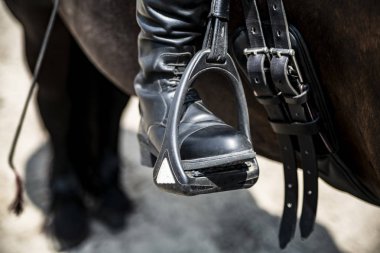 Binici -lik. Kadın binici ata biner..