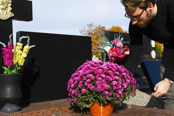 男は墓石に菊を置きます。キリスト教の墓地のすべての聖人の日. — ストック写真