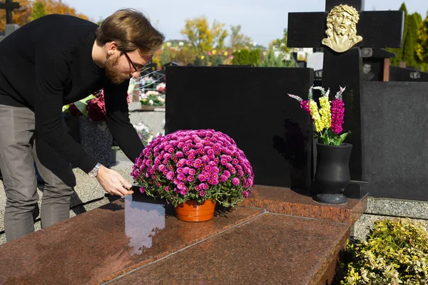 男はピンクの菊で花崗岩の墓石を飾る。キリスト教の墓地のすべての聖人の日. — ストック写真