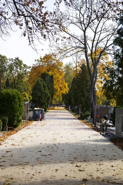 Path between tombs. Christian graveyard in autumn. Tombstones decorated with flowers and grave candles. All Saints Day. — ストック写真