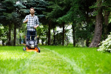 Bahçıvanlık. Yeşiller. Sakallı bir adam, ayarlanabilir kesme yüksekliği olan bir çim biçme makinesi kullanarak çim biçiyor. Çim biçme makinesi, çim biçme makinesi, güneşli bir günde bahçede benzin çim biçme makinesi