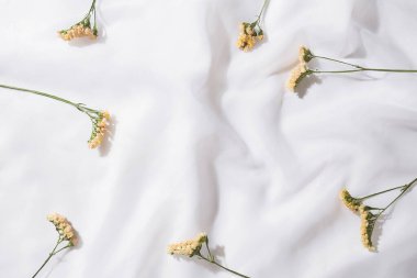 Boşluk kumaş arkaplanının üst görünümü ve metin için yeri olan çiçekler