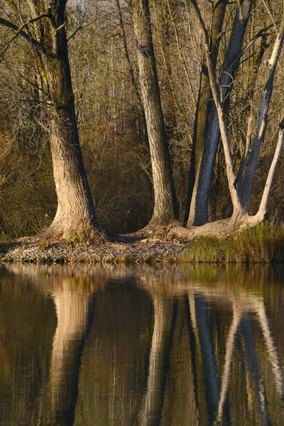 Locality Vallazza Dans Parc Rivière Mincio Lombardy Italie — Photo