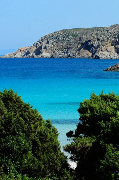 Θάλασσα Στο Εθνικό Πάρκο Της Asinara Σαρδηνία Ιταλία — Φωτογραφία Αρχείου