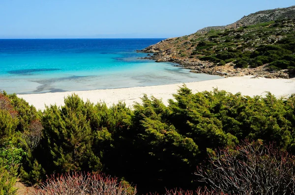 Μια Άγρια Παραλία Του Νησιού Της Asinara Σαρδηνία Ιταλία — Φωτογραφία Αρχείου
