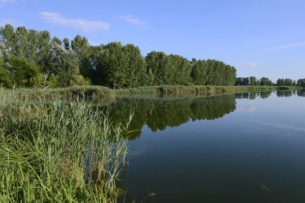 Visión Espejo Agua Parque Regional Del Río Mincio Lombardia Italia — Foto de Stock