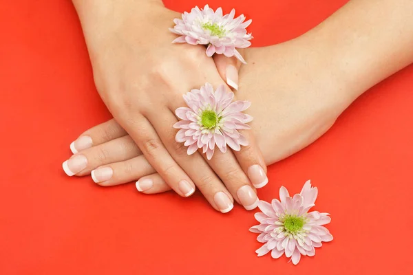 Beautiful female hands with flowers