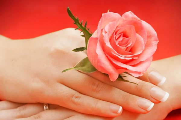 Beautiful female hands with flower Royalty Free Stock Photos