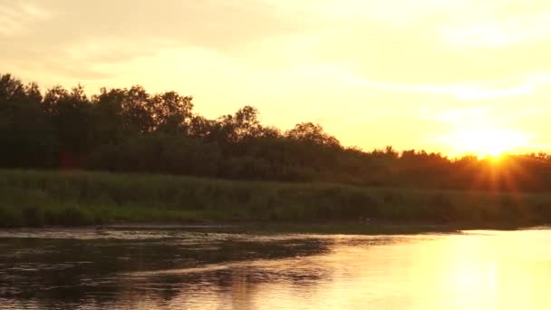 Zeer Mooie Rustige Ontspannen Zomer Bos Meer Zonsondergang Bliksem Prachtige — Stockvideo