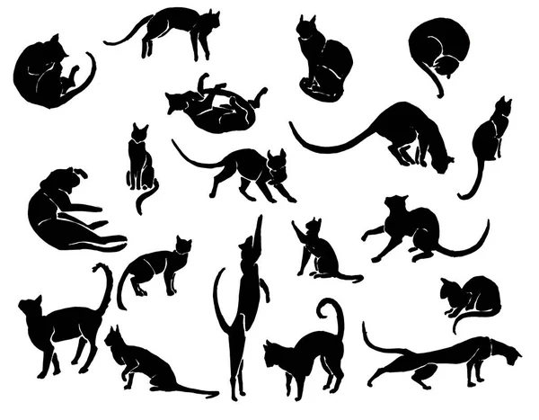 Hand Drawn Ink Cat Silhouettes — Stock Photo, Image