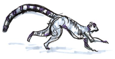 Kedi lemur kaba işaretleme çizimi. Görünür vuruş ile geleneksel sanat 