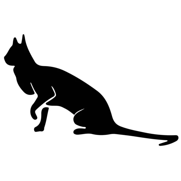 Hand Drawn Vector Cat Silhouette — Stock Vector