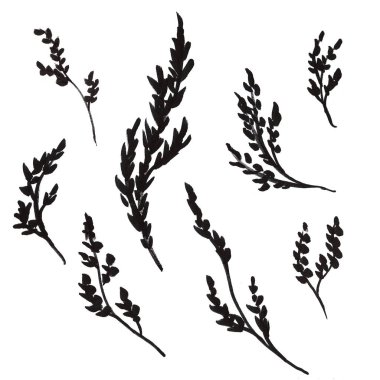 El çizilmiş çiçek Doole set